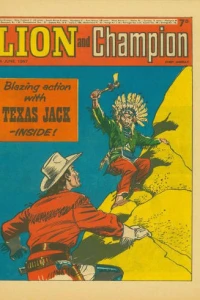 Issue #19670617
