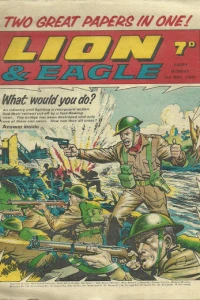 Issue #19690503