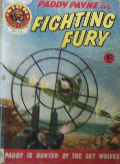 Cover of Fighting Fury