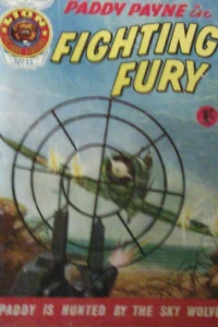 Fighting Fury