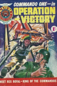 Operation Victory