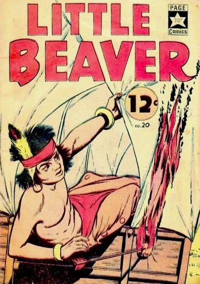 Cover of Issue #20