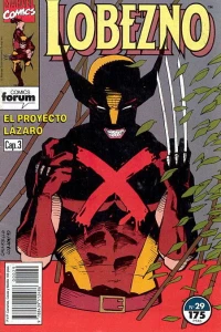 Issue #29