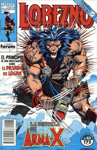 Cover of Issue #43
