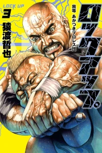 Vol. 3