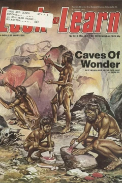 Issue #1010