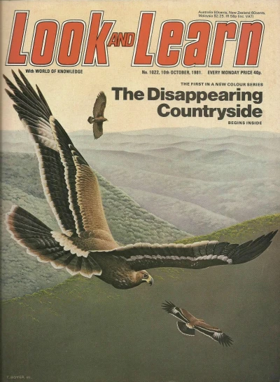 Cover of Issue #1022