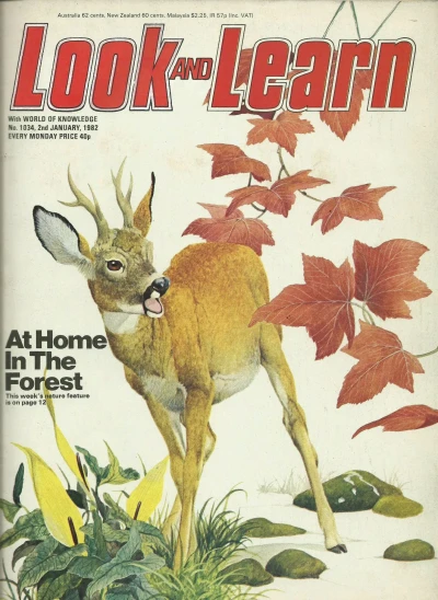 Cover of Issue #1034