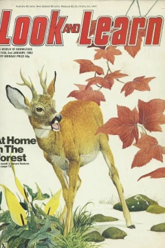 Issue #1034