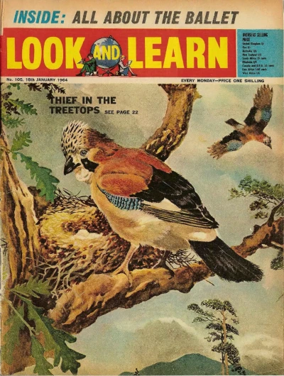 Cover of Issue #105