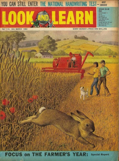 Cover of Issue #113