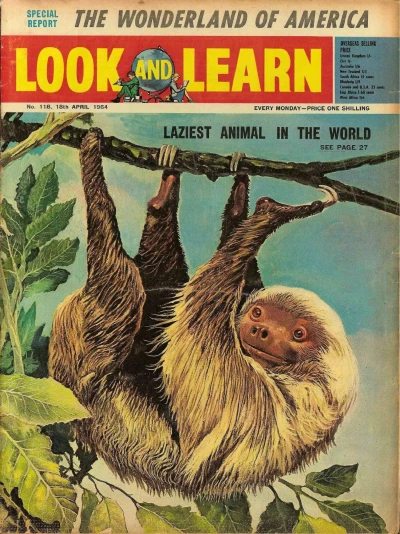 Cover of Issue #118