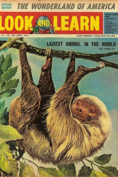 Issue #118