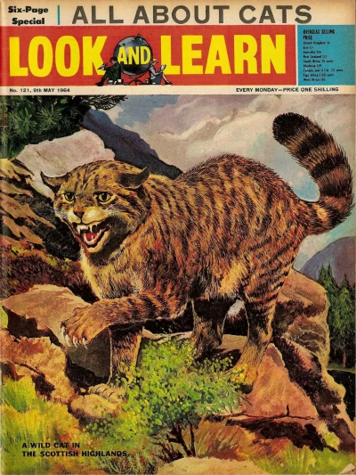 Cover of Issue #121