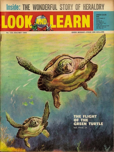 Cover of Issue #123
