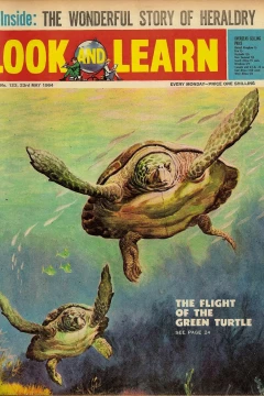 Issue #123