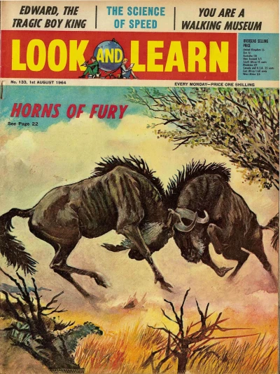 Cover of Issue #133