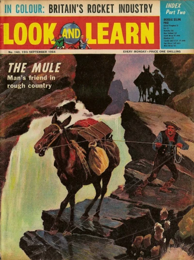 Cover of Issue #140