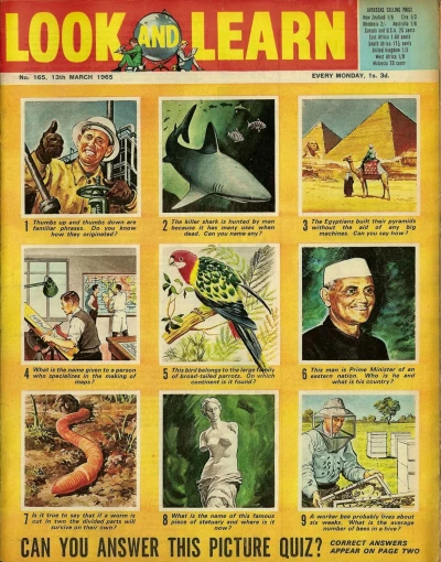 Cover of Issue #165