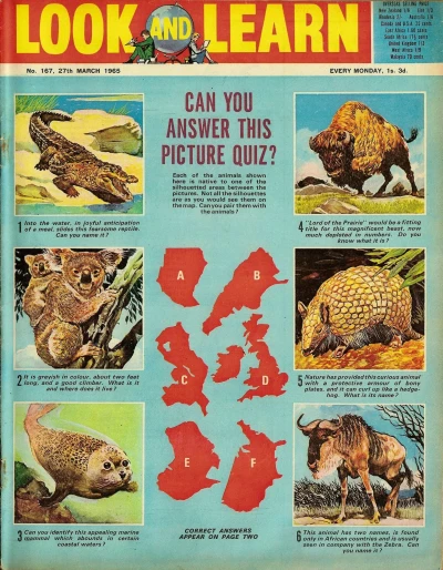 Cover of Issue #167