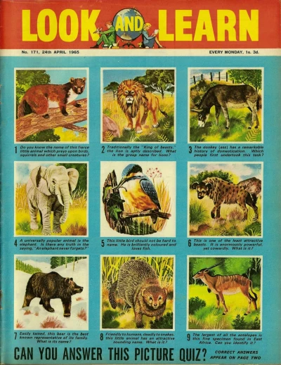 Cover of Issue #171
