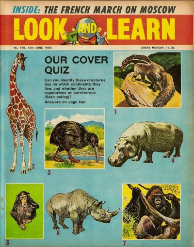 Cover of Issue #178