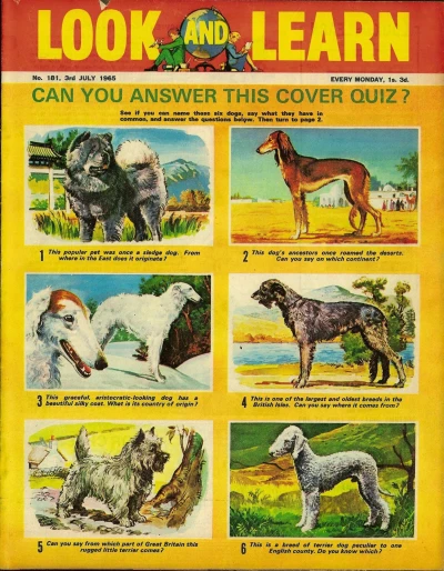 Cover of Issue #181