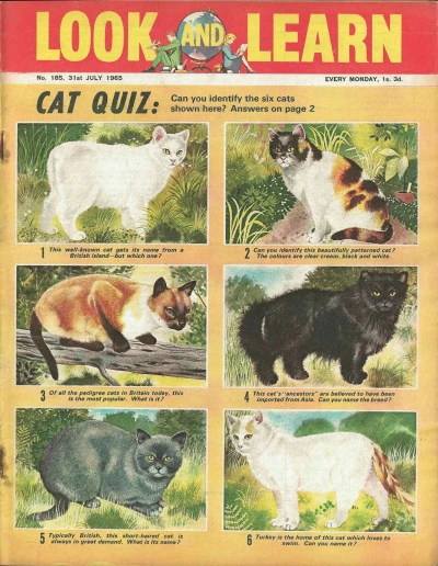 Cover of Issue #185