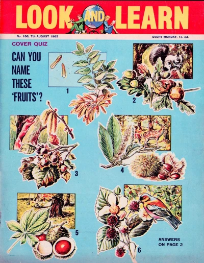 Cover of Issue #186