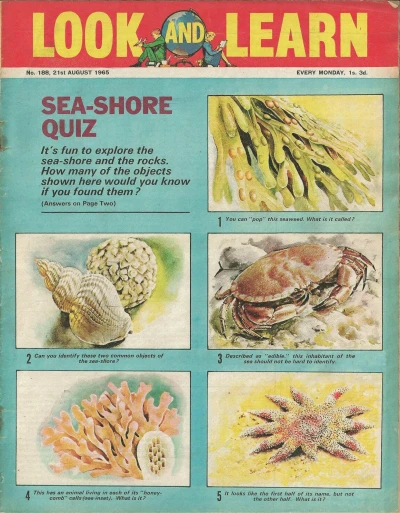Cover of Issue #188