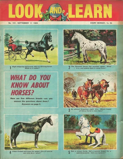 Cover of Issue #191