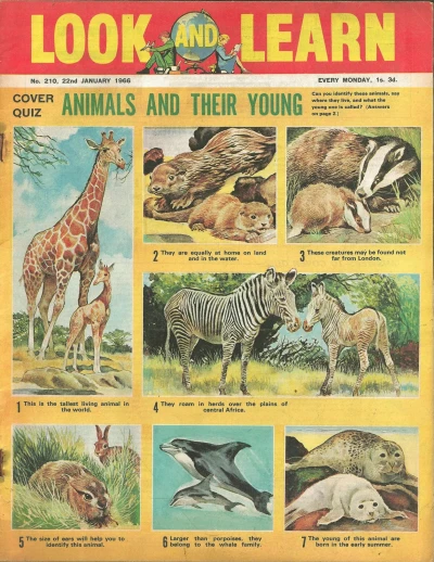 Cover of Issue #210