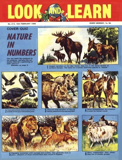Cover of Issue #214