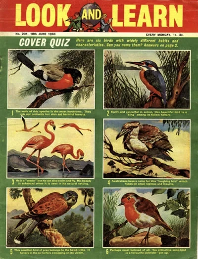 Cover of Issue #231