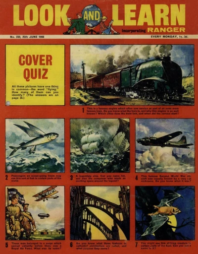 Cover of Issue #232