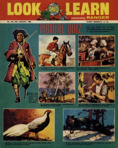 Cover of Issue #240