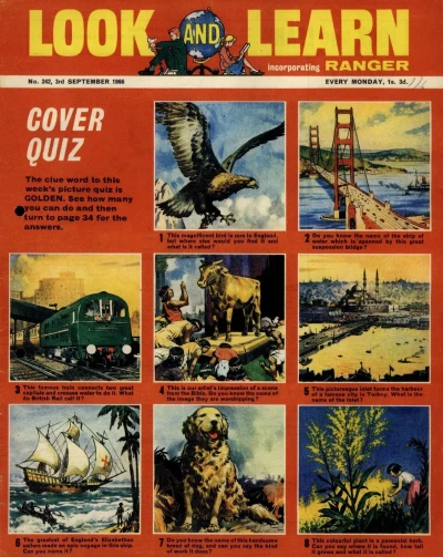 Cover of Issue #242