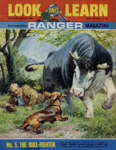 Cover of Issue #314