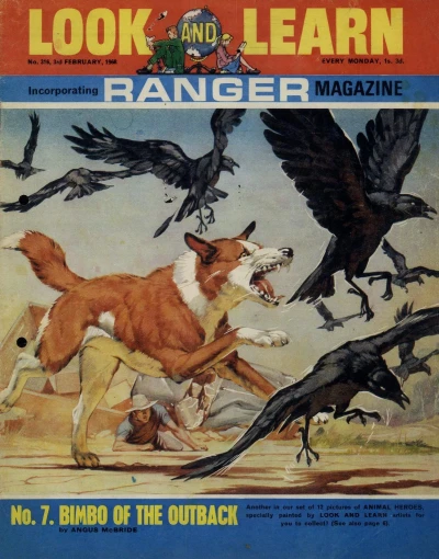 Cover of Issue #316