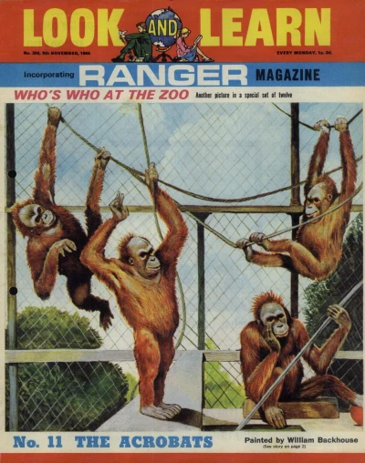 Cover of Issue #356