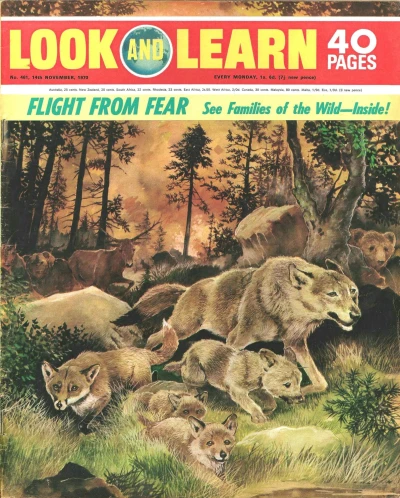 Cover of Issue #461