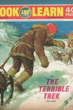 Issue #491