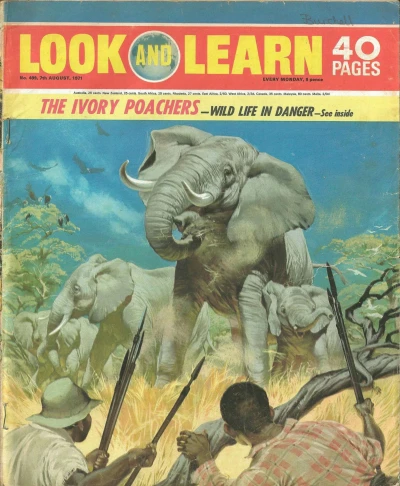 Cover of Issue #499