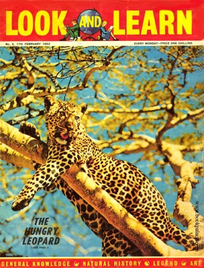 Cover of Issue #5