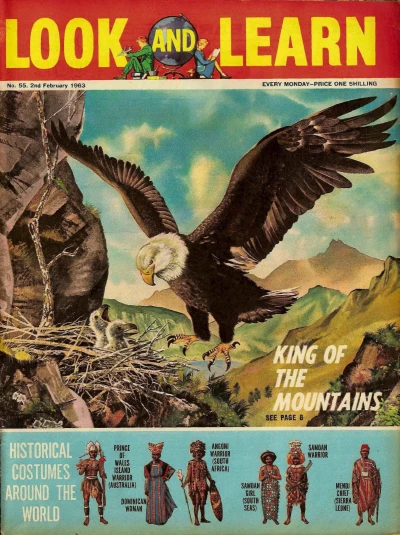 Cover of Issue #55