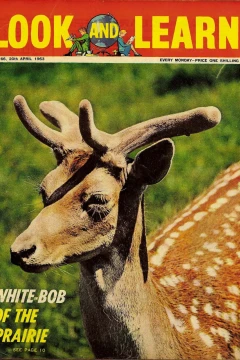 Issue #66