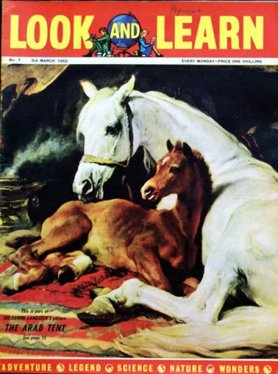 Cover of Issue #7