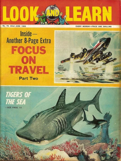 Cover of Issue #75