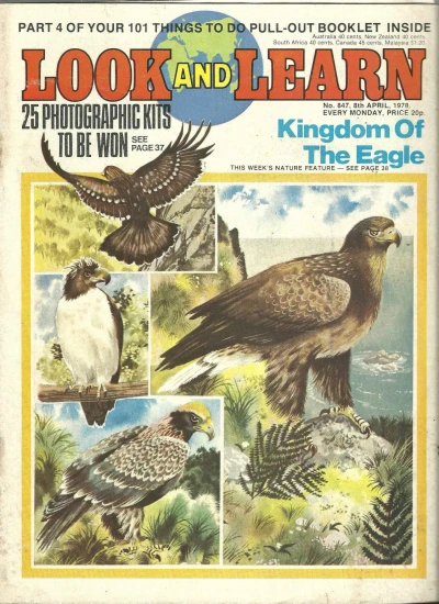 Cover of Issue #847