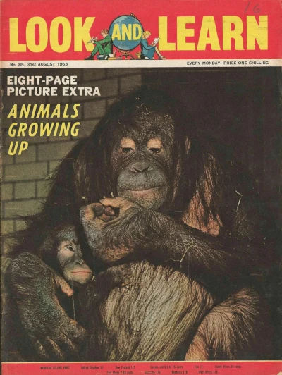 Cover of Issue #85